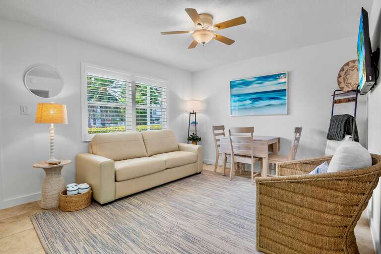 Living Area with TV