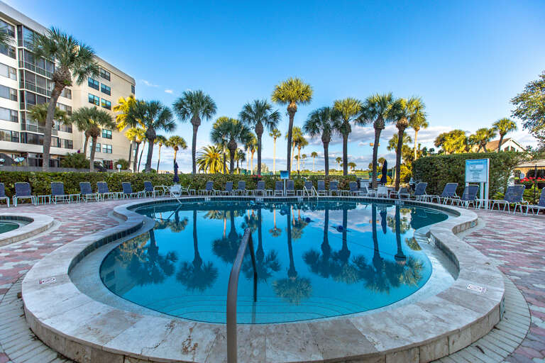Property pool area surrounded by palm trees and lounge chairs under Florida's clear blue sky.