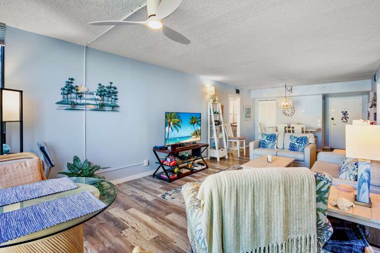 Living Area with TV