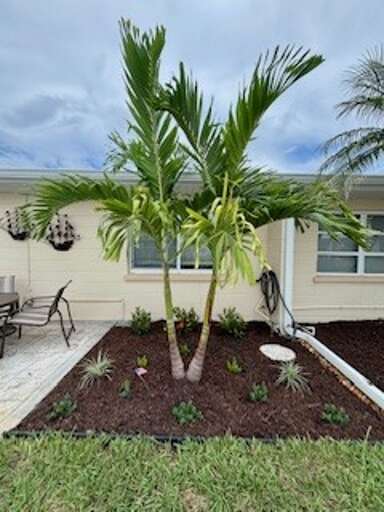 Jamaica Royale 010 by Tropical Sands Accommodations