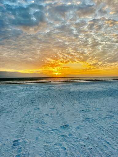t54 beach
