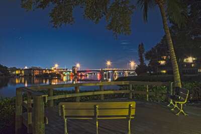 image_155519146