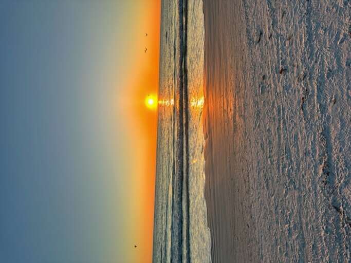 COVE II #911 PHOTOS (41)