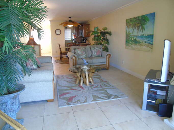 Living Area with TV