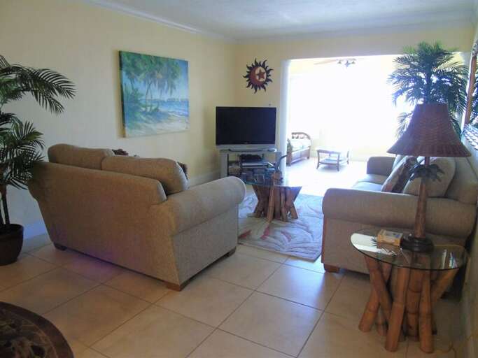Living Area with TV