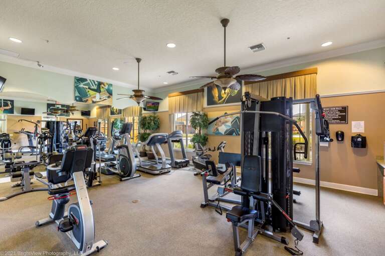 Find Rentals