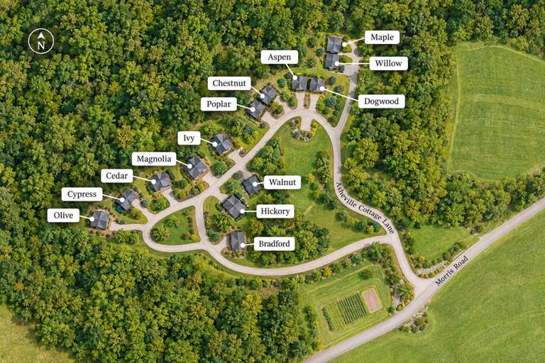 Find Rentals