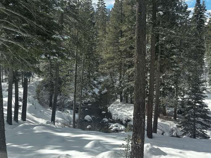 62e43075-de27-4e3f-a51a-be57a33d4f3e