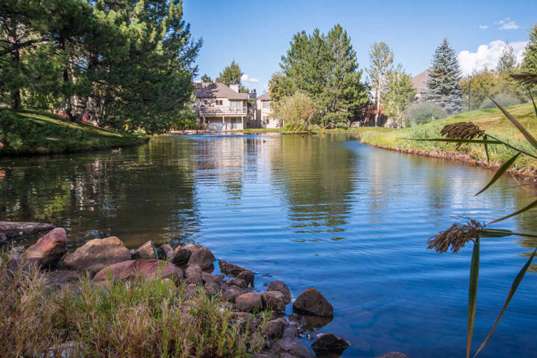 Pond next to condo