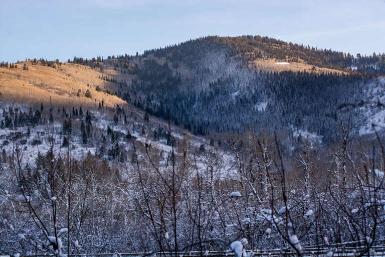 View from near building