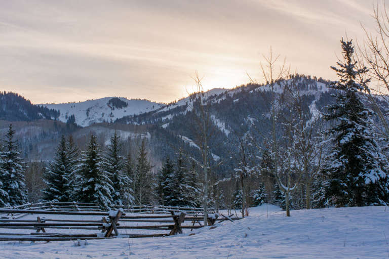 View from near building