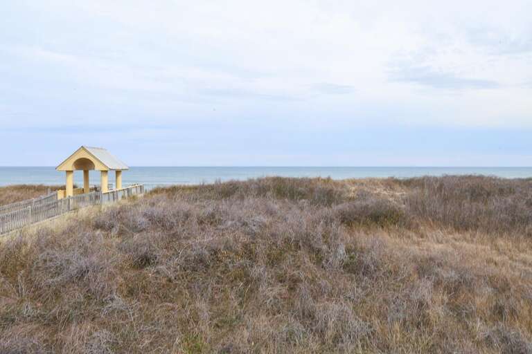 Covered Deck View 2020