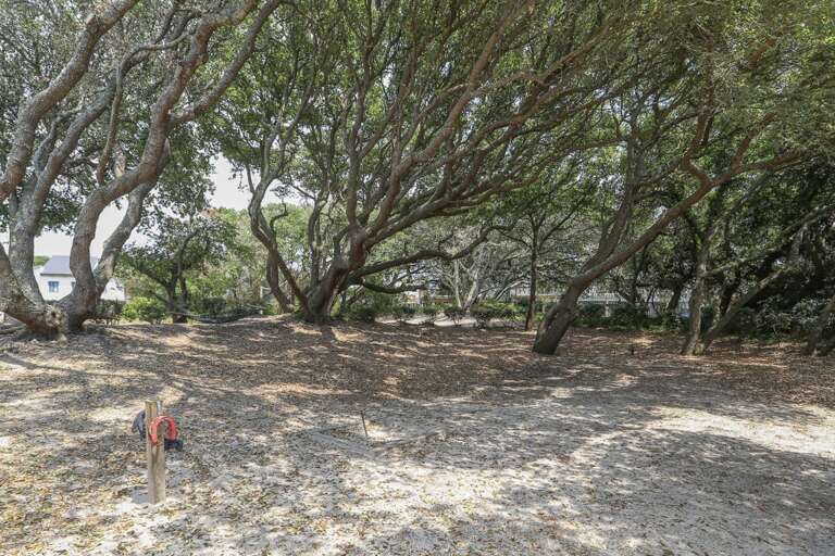 Horseshoe 2022 Horseshoe 2022