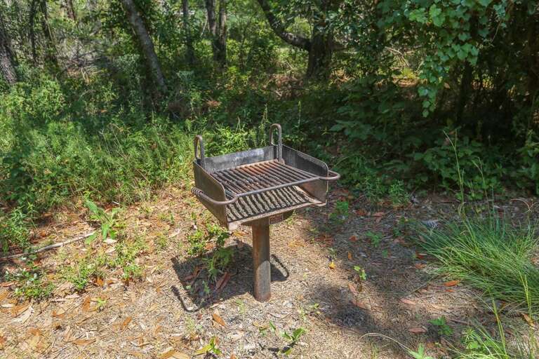 Park Style Grill 2019