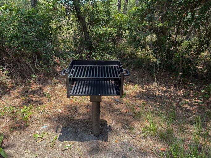 Park Style Grill 2025