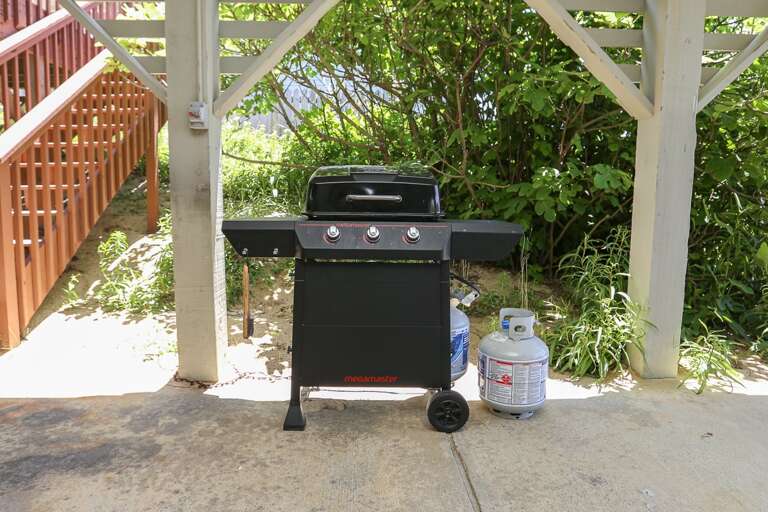 Grill 2024 Grill 2024