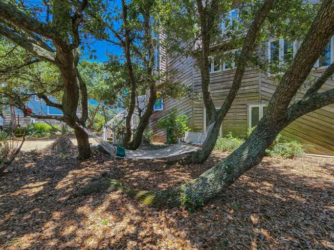 Hammock 2022 Hammock 2022