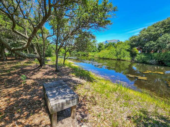 Back Yard 2022 Back Yard 2022