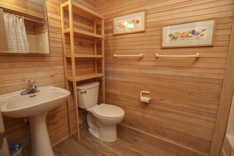 Bathroom 3 2023; Hall Bath