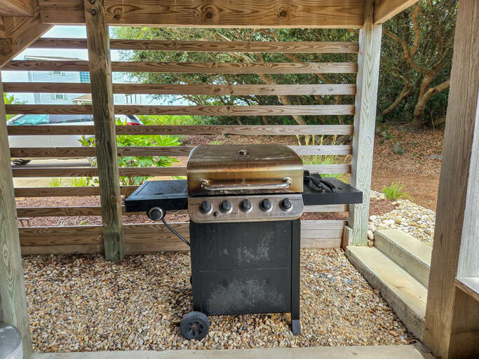 Gas Grill 2022
