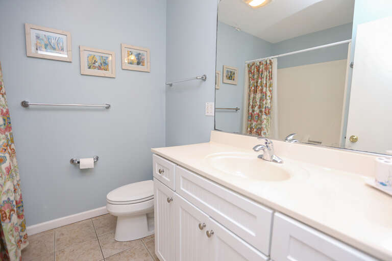 Bathroom 2 2023; Hall Bath