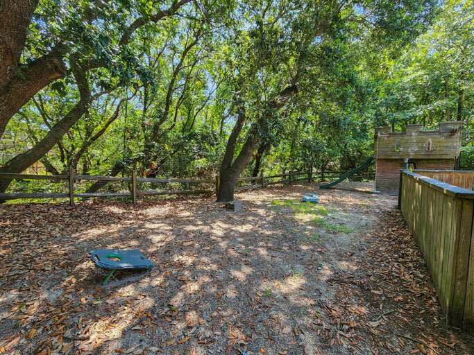 Back Yard 2023 Back Yard 2023