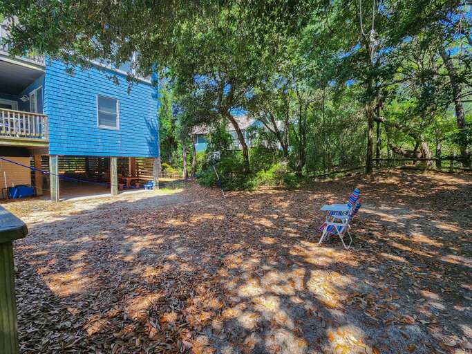 Back Yard 2023 Back Yard 2023