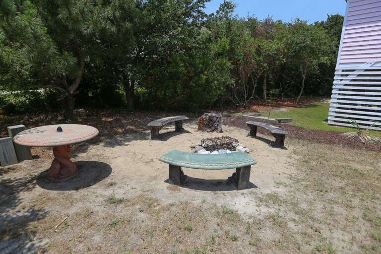 Fire pit area 2019