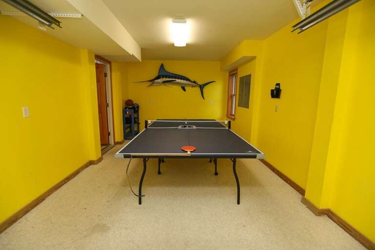 Rec Room 2 2021 (Garage)