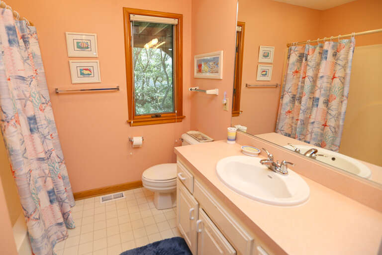 Bathroom 3 2022; Hall Bath