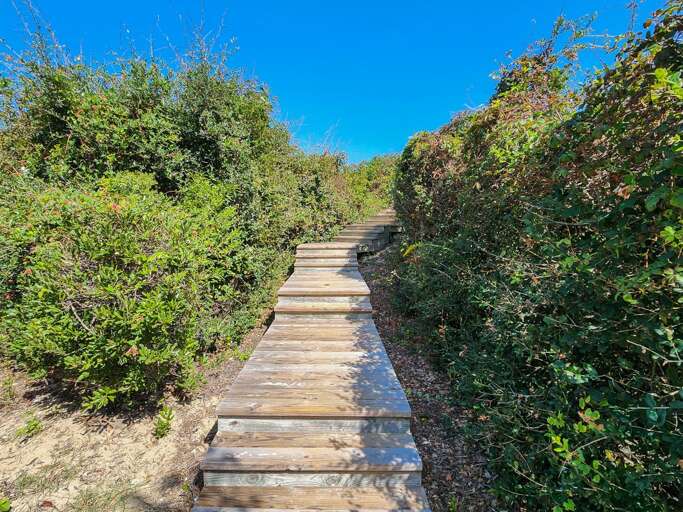 Walkway to the Beach 2023