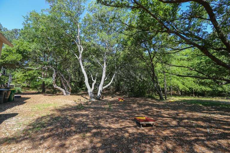 Corn Hole 2021 Corn Hole 2021