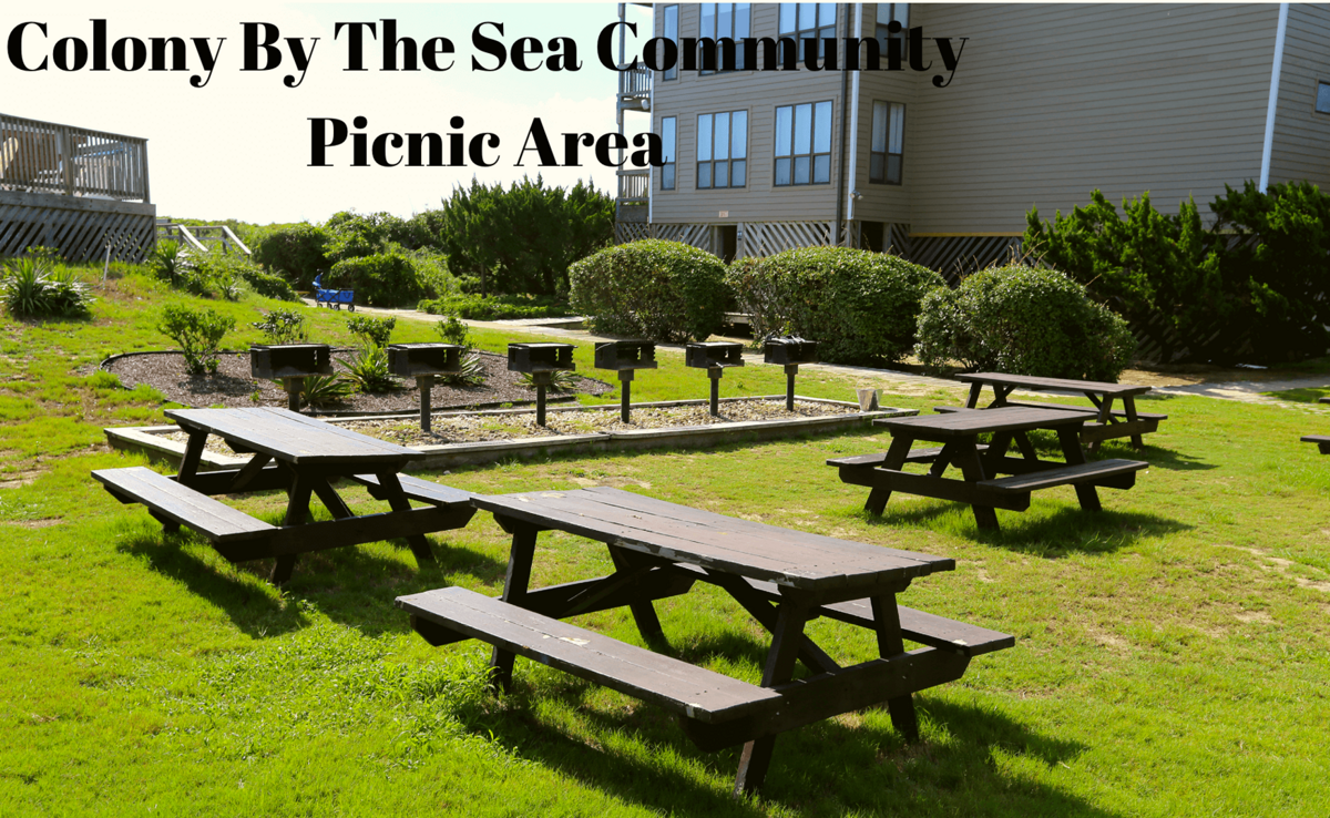 1078 PARZANESE 1 Bedroom Vacation Place for Rent in Duck North