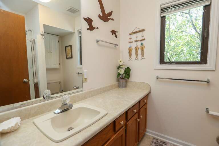 Bathroom 1 2023; Hall Bath