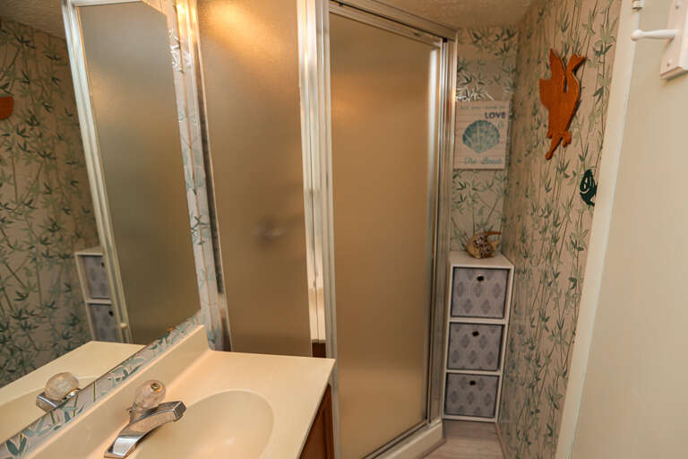 Bathroom 1 2024; Hall Bath