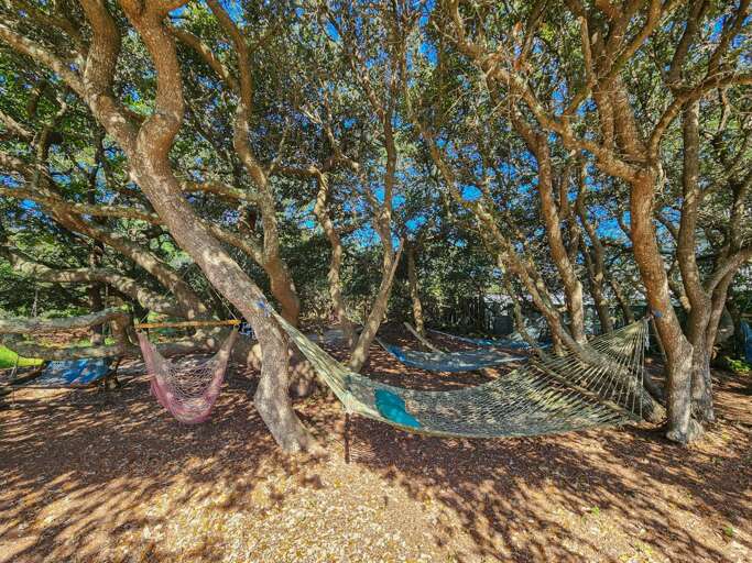 Hammocks 2023 Hammocks 2023
