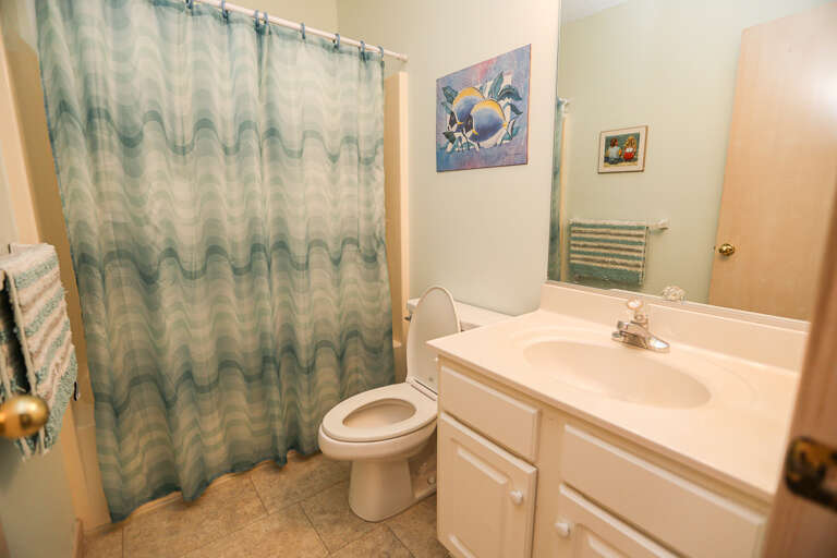 Bathroom 4 2024; Hall Bath