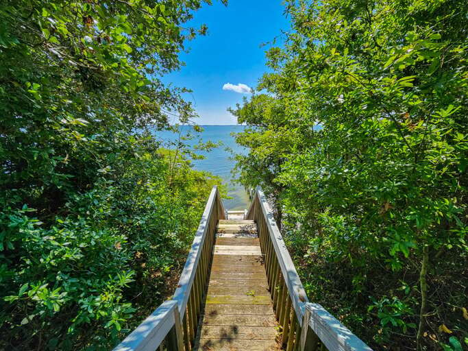 Stairs To Dock 2023 Stairs To Dock 2023