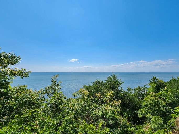 View from Deck 2023 View from Deck 2023