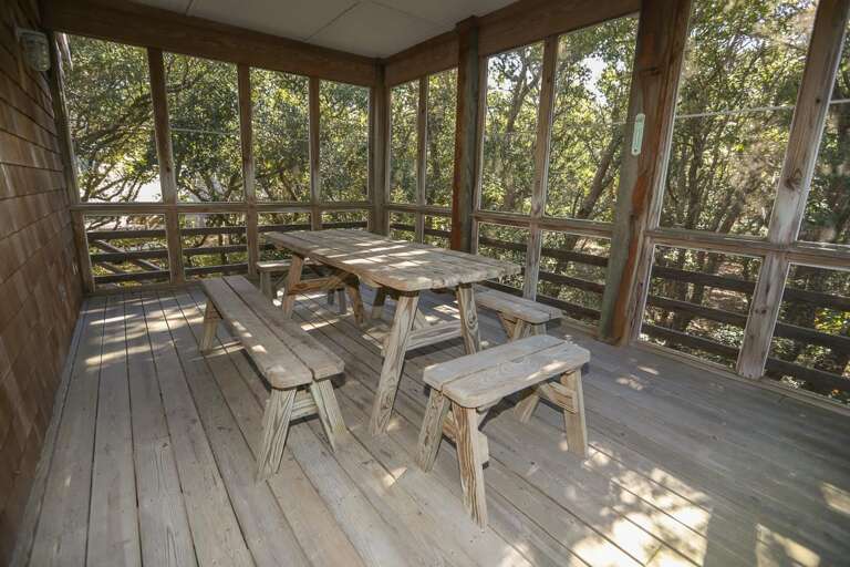 Screened in Porch 2 2021