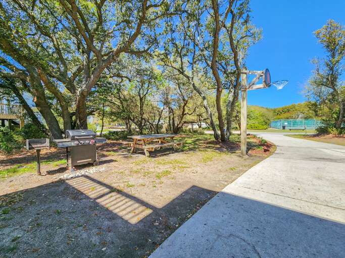 Basketball Goal & Grill Area 2023