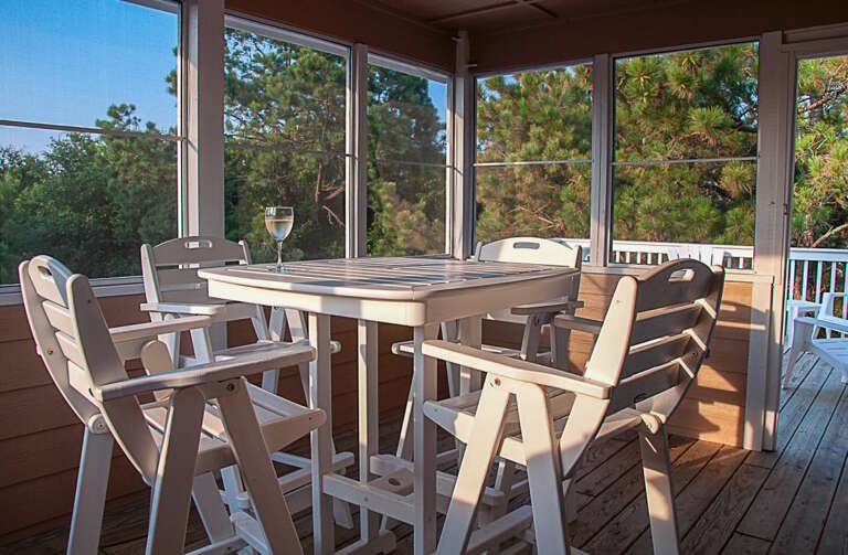 Screened in Porch 2022