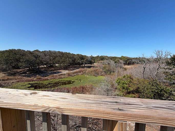 Pond View from Rooftop Deck