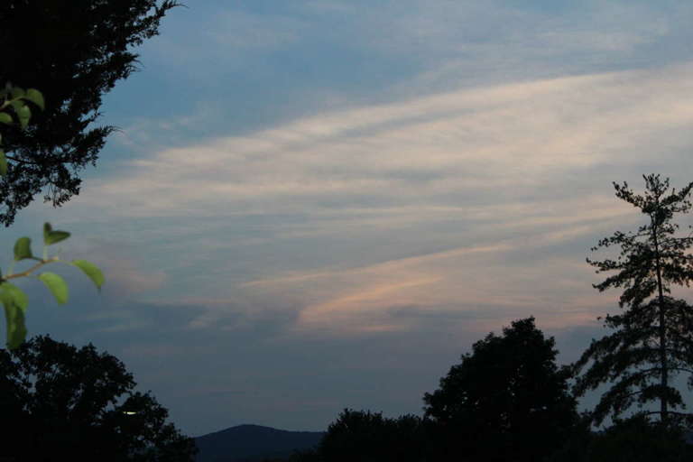 View from dinning room 