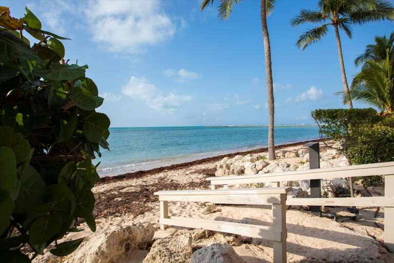 Beach Club ocean view