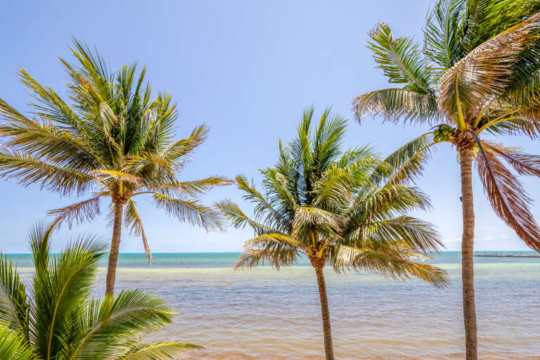 View from Private Balcony