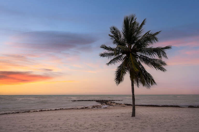 A solitary palm tree stands sentinel on the sandy shore as the evening sky paints shades of coral, gold, and blue across the horizon.
