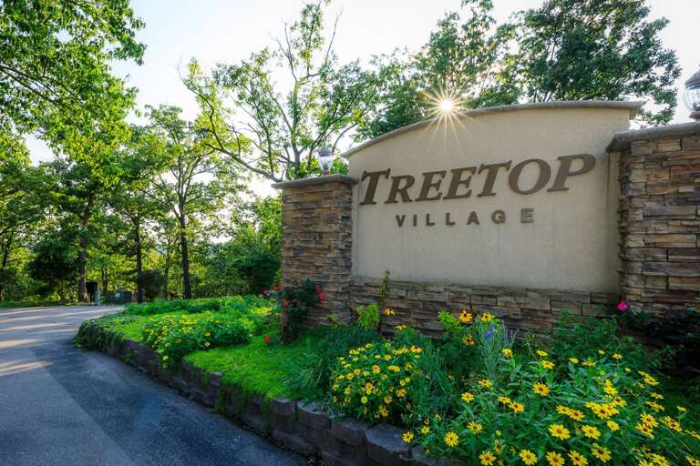 Tree Top 16