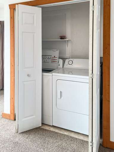 Laundry Closet (in bedroom)