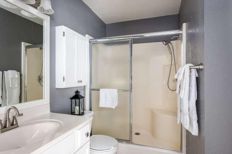 Lower Level Bathroom